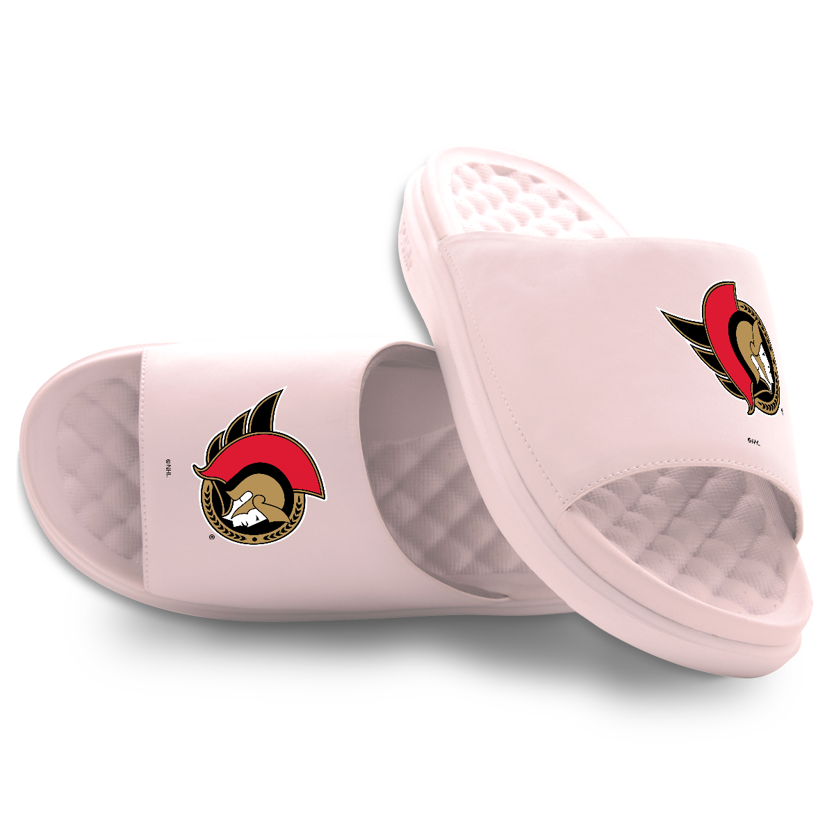 Ottawa Senators Primary Motive