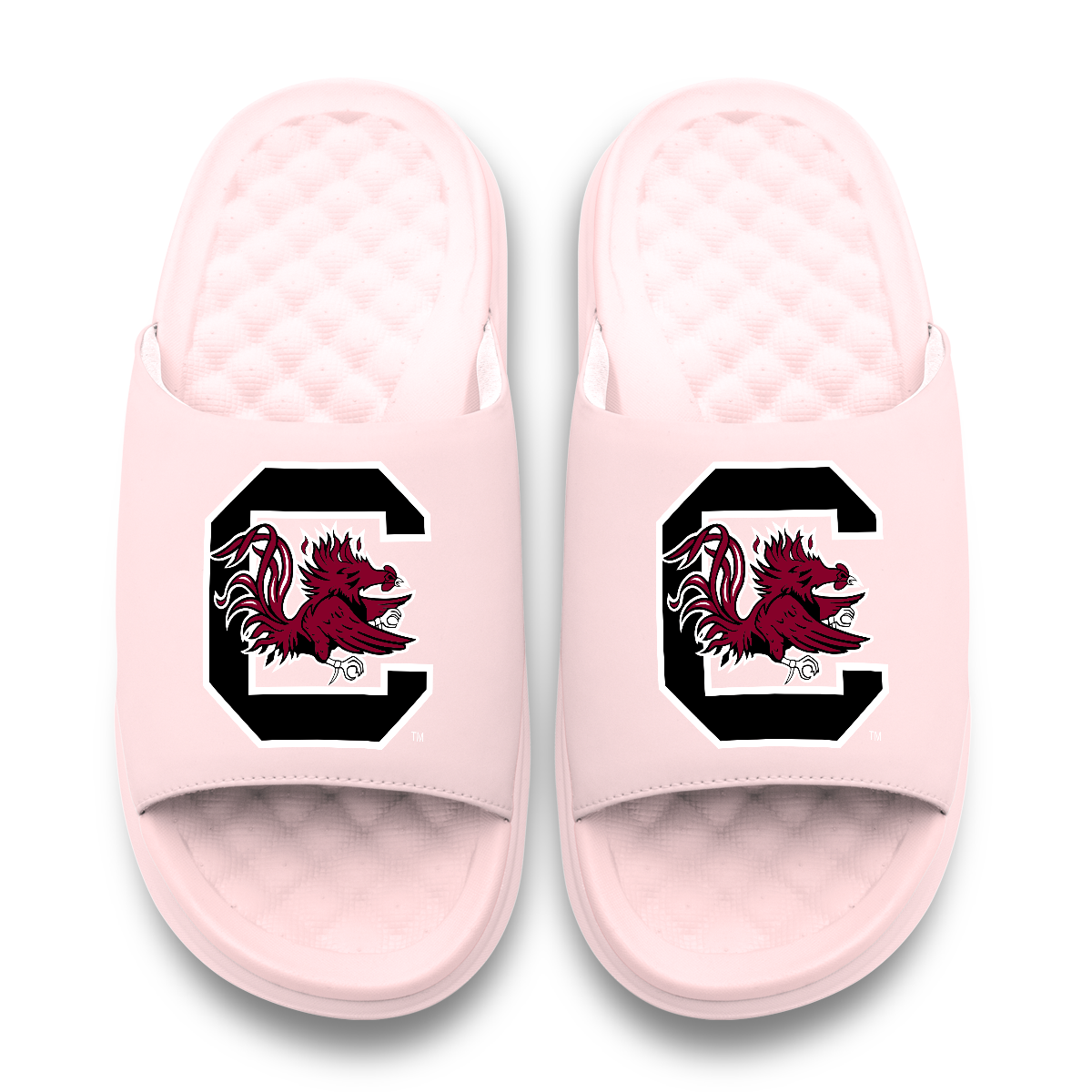 South Carolina Gamecocks Primary Motive