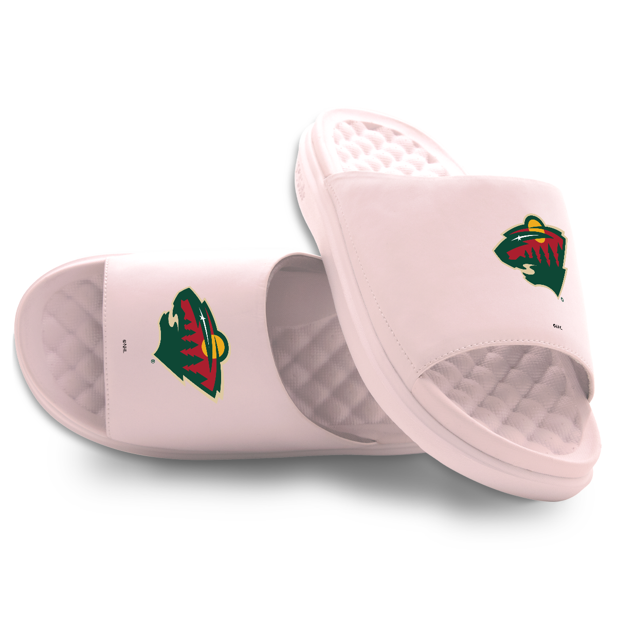 Minnesota Wild Primary Motive