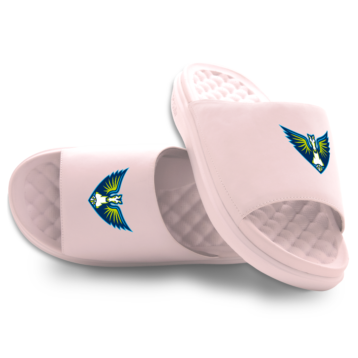 Dallas Wings Primary Motive