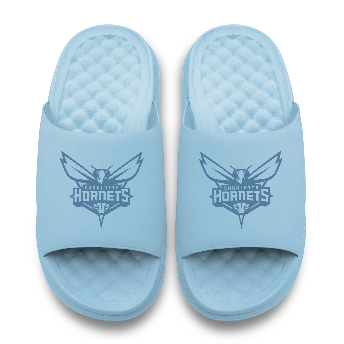 Charlotte Hornets Tonal Logo