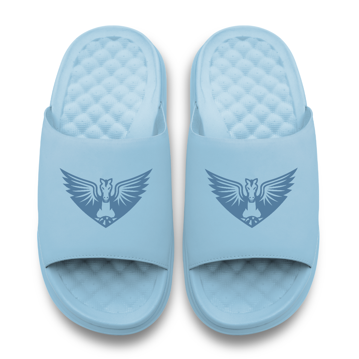 Dallas Wings Tonal Logo