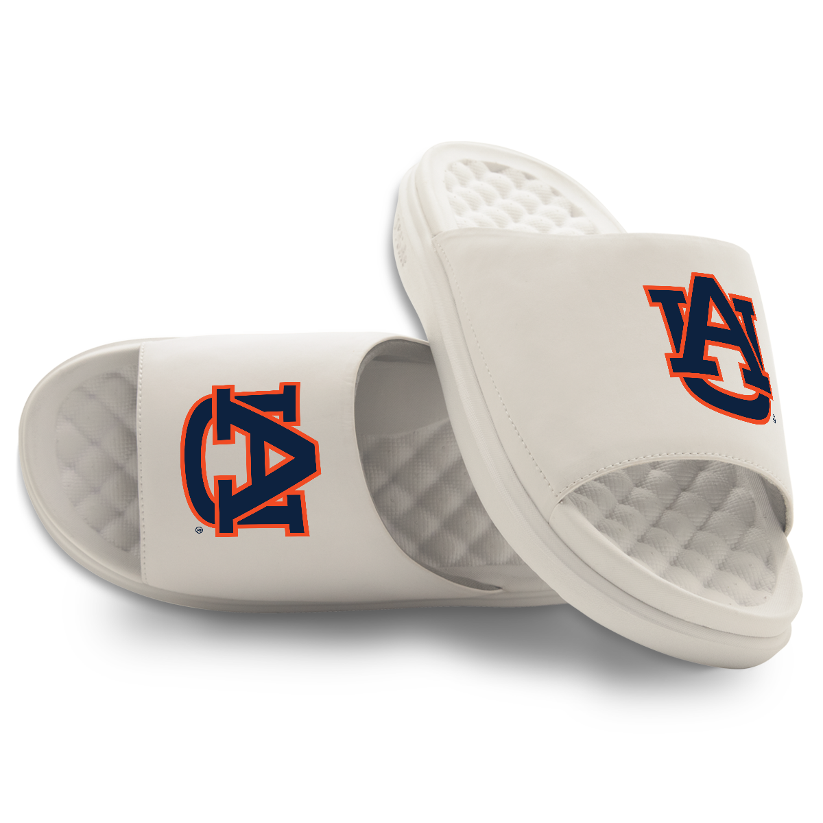 Auburn Tigers Primary Motive