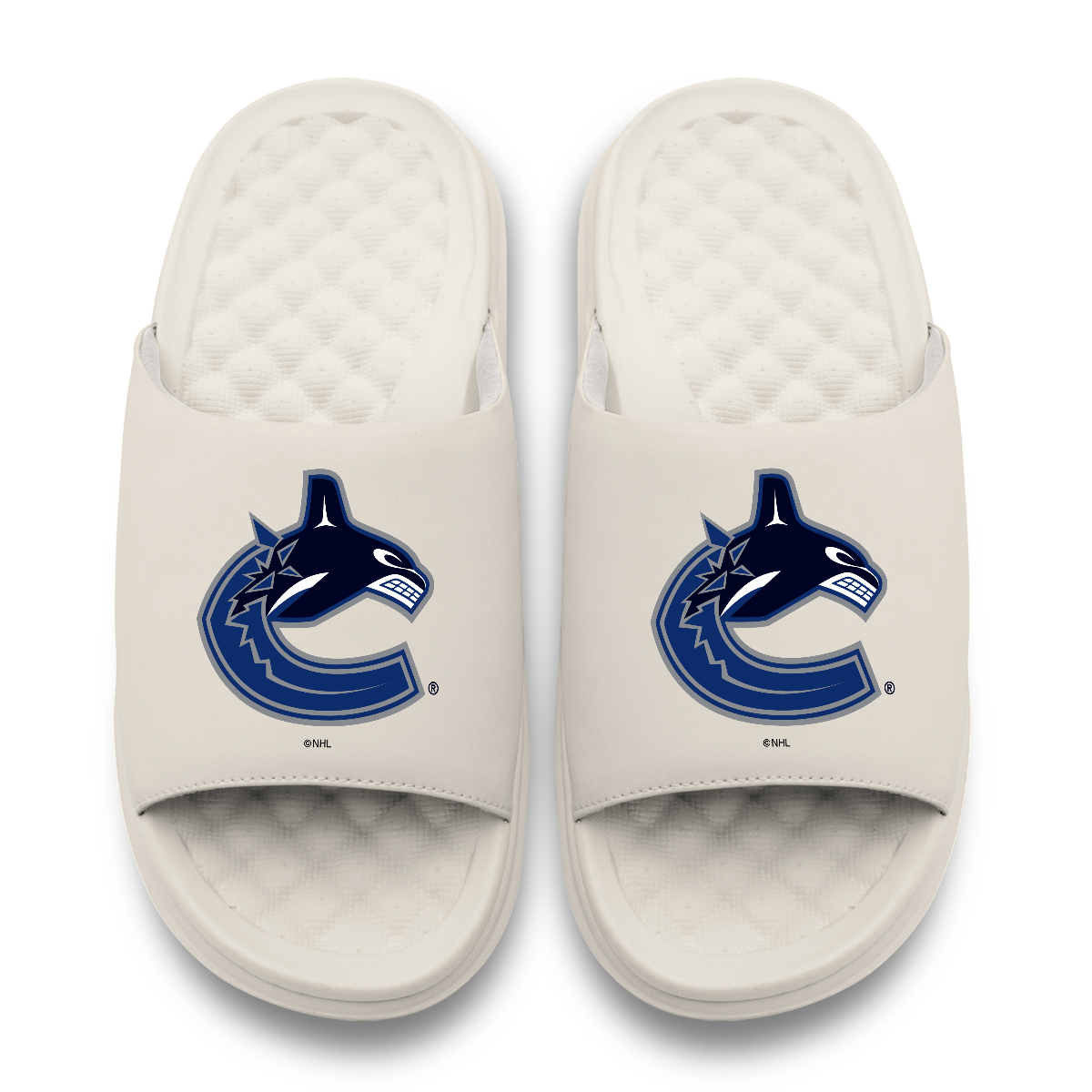 Vancouver Canucks Primary Motive