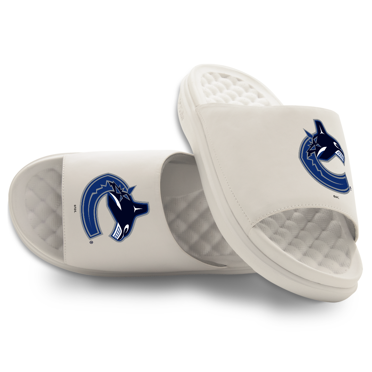 Vancouver Canucks Primary Motive