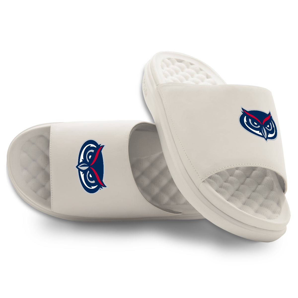 Florida Atlantic Owls Primary Motive