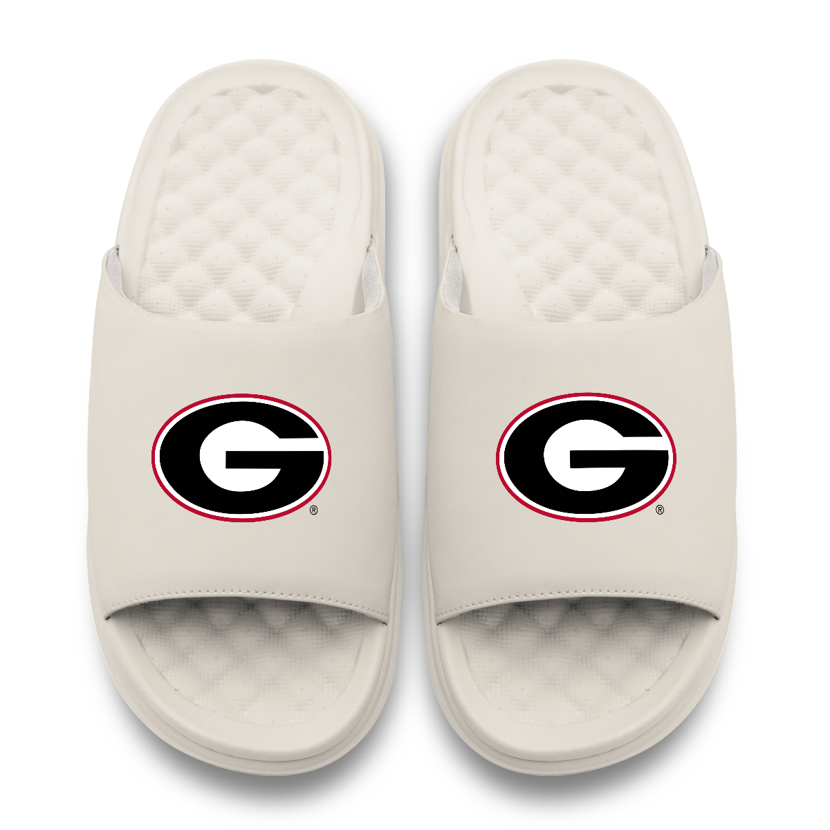 Georgia Bulldogs Primary Motive