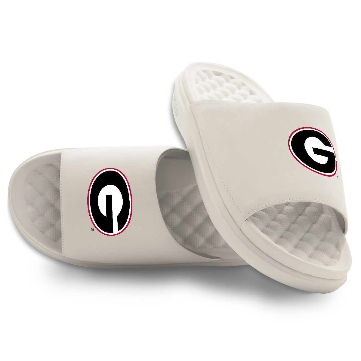 Georgia Bulldogs Primary Motive