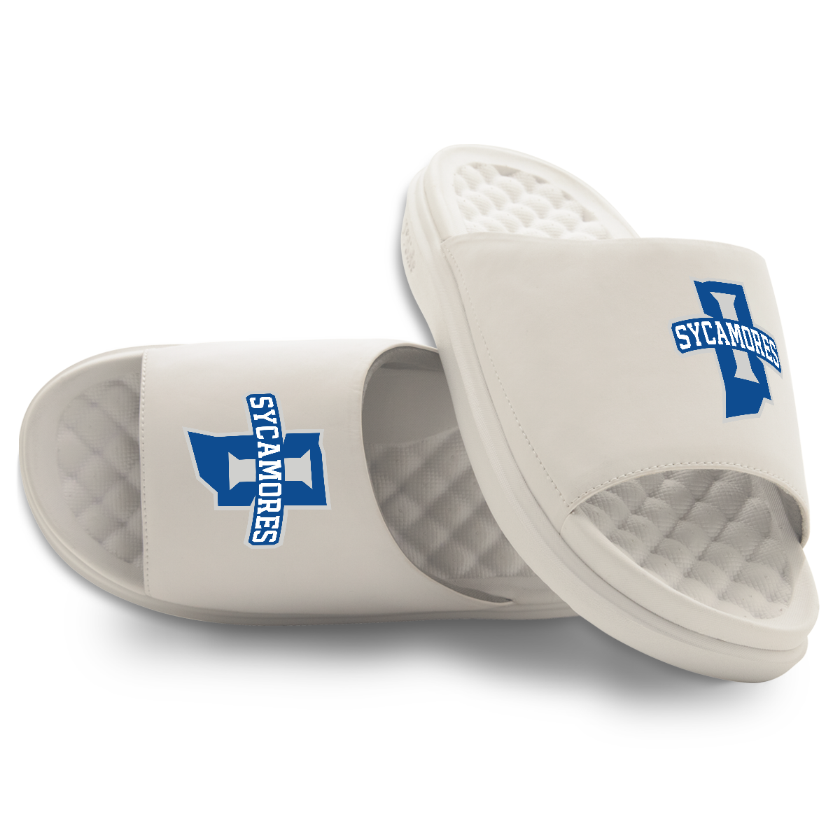 Indiana State Sycamores Primary Motive