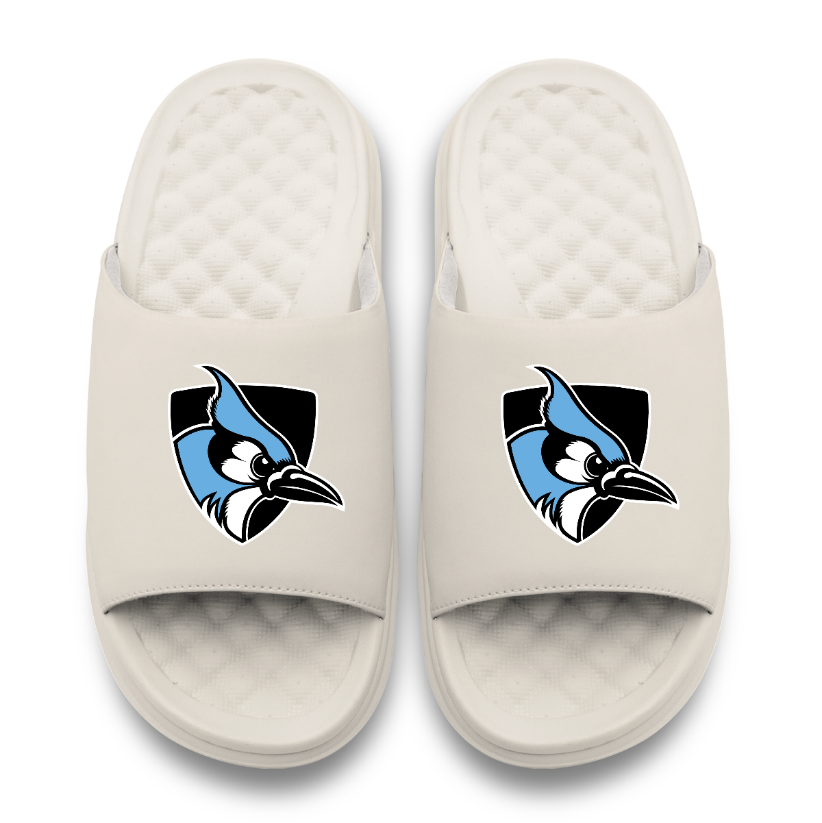 Johns Hopkins Blue Jays Primary Motive