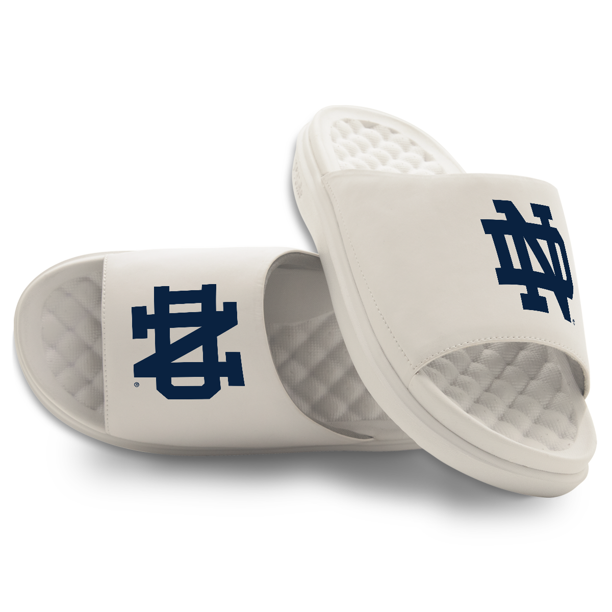 Notre Dame Fighting Irish Primary Motive