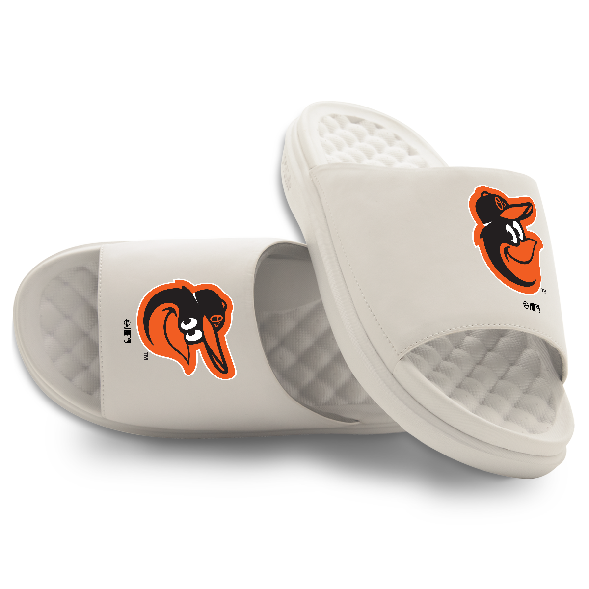 Baltimore Orioles Primary Motive
