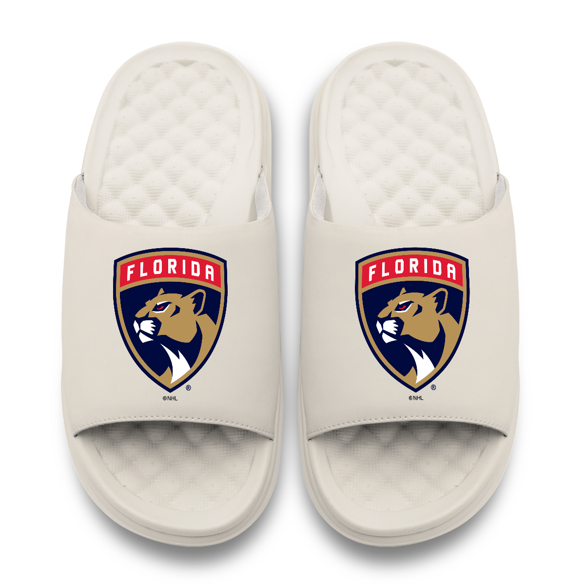 Florida Panthers Primary Motive