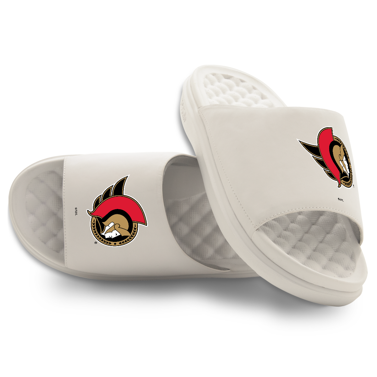 Ottawa Senators Primary Motive