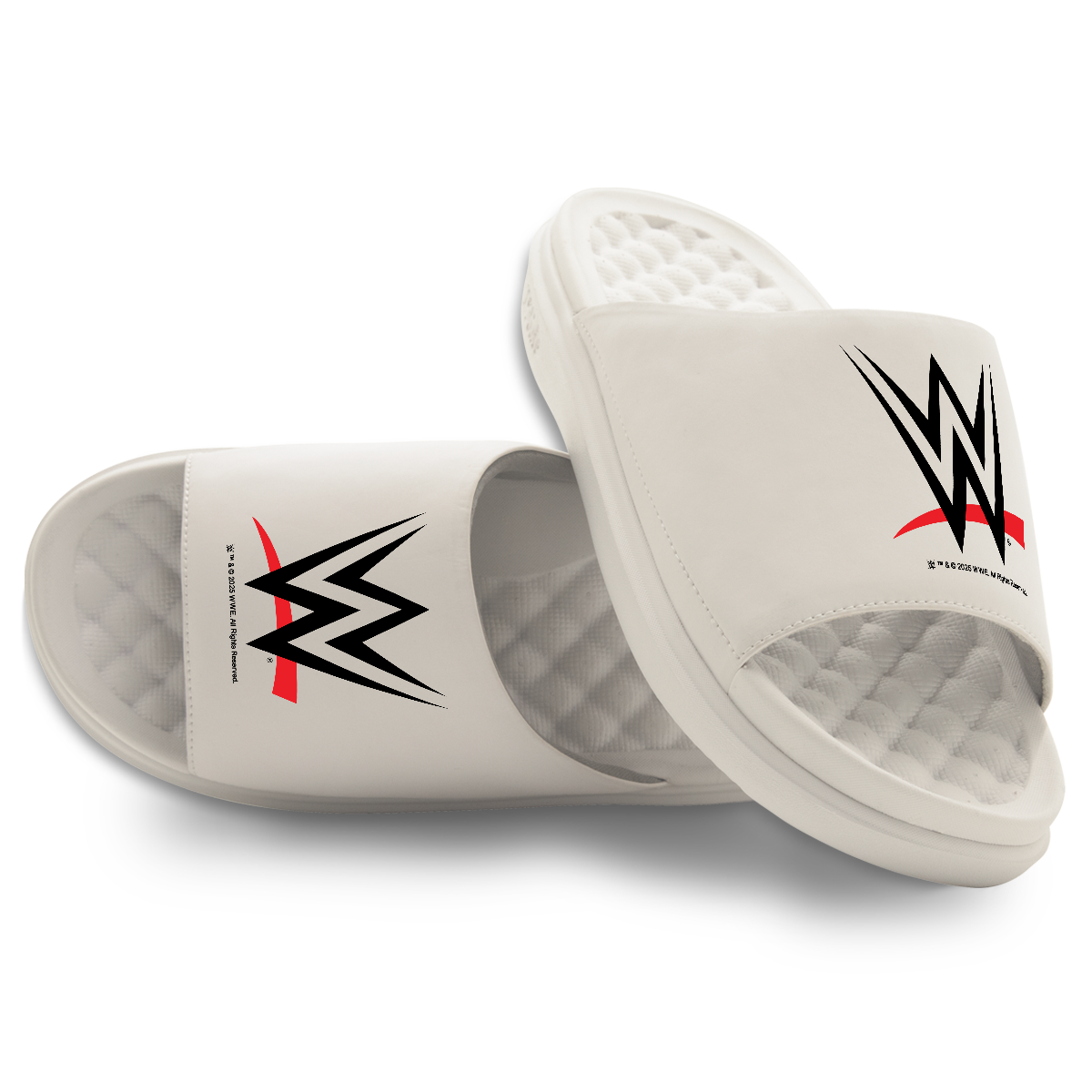 WWE Logo Motive