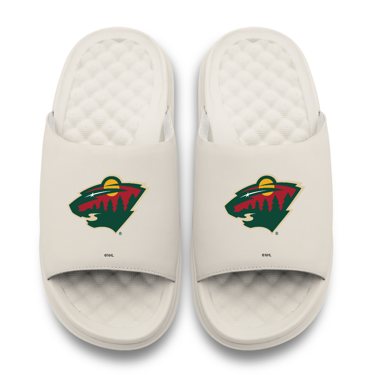 Minnesota Wild Primary Motive