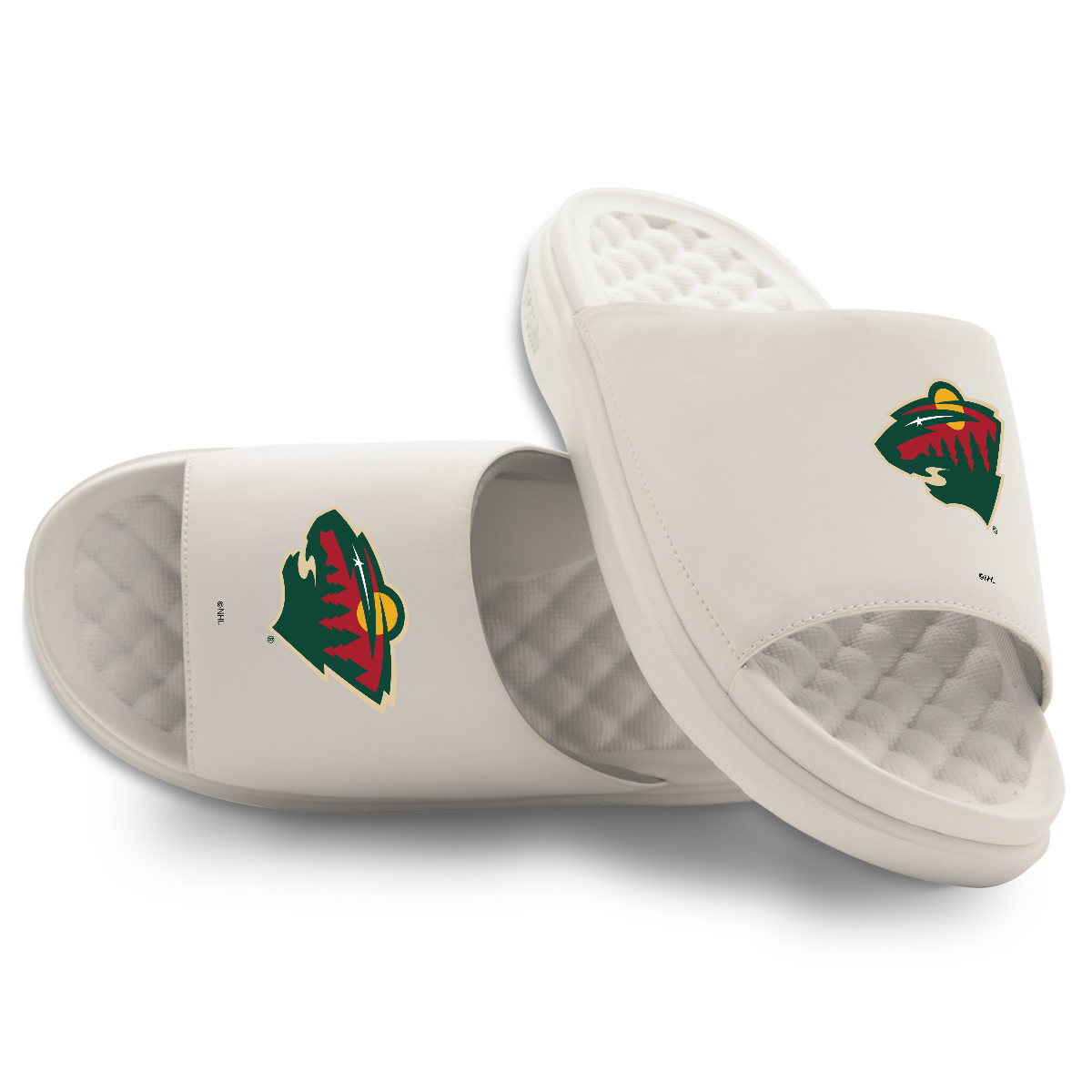Minnesota Wild Primary Motive