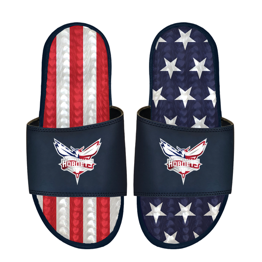 Charlotte Hornets Americana Gel