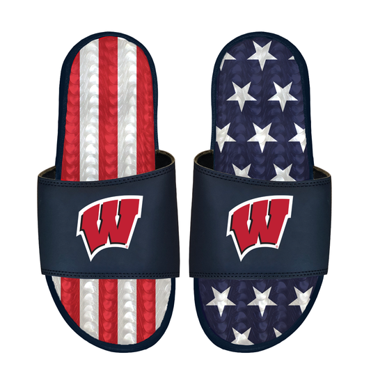 Wisconsin Badgers Americana Gel