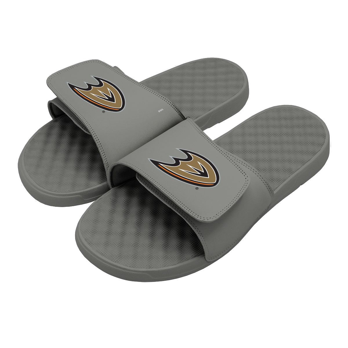 Anaheim Ducks Primary Slides