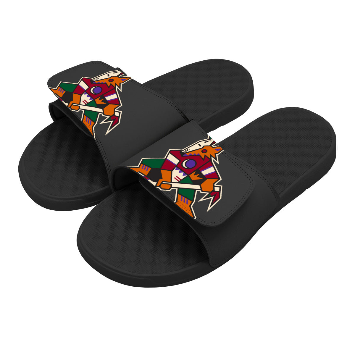 Arizona Coyotes Blown Up Slides