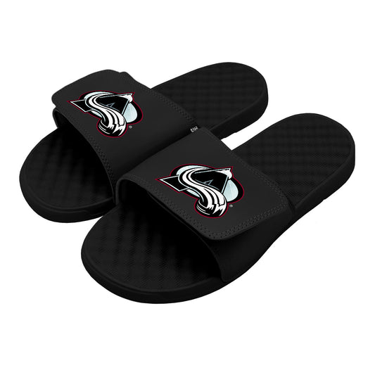 Colorado Avalanche Ice Mask Slides