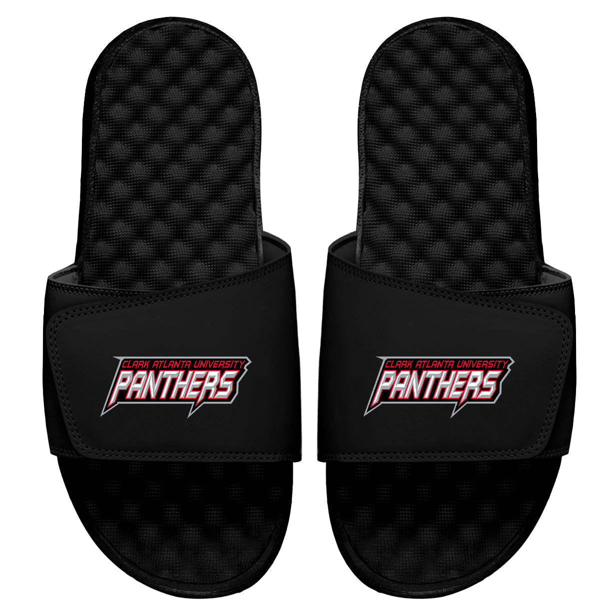 CAU Panthers Wordmark Slides