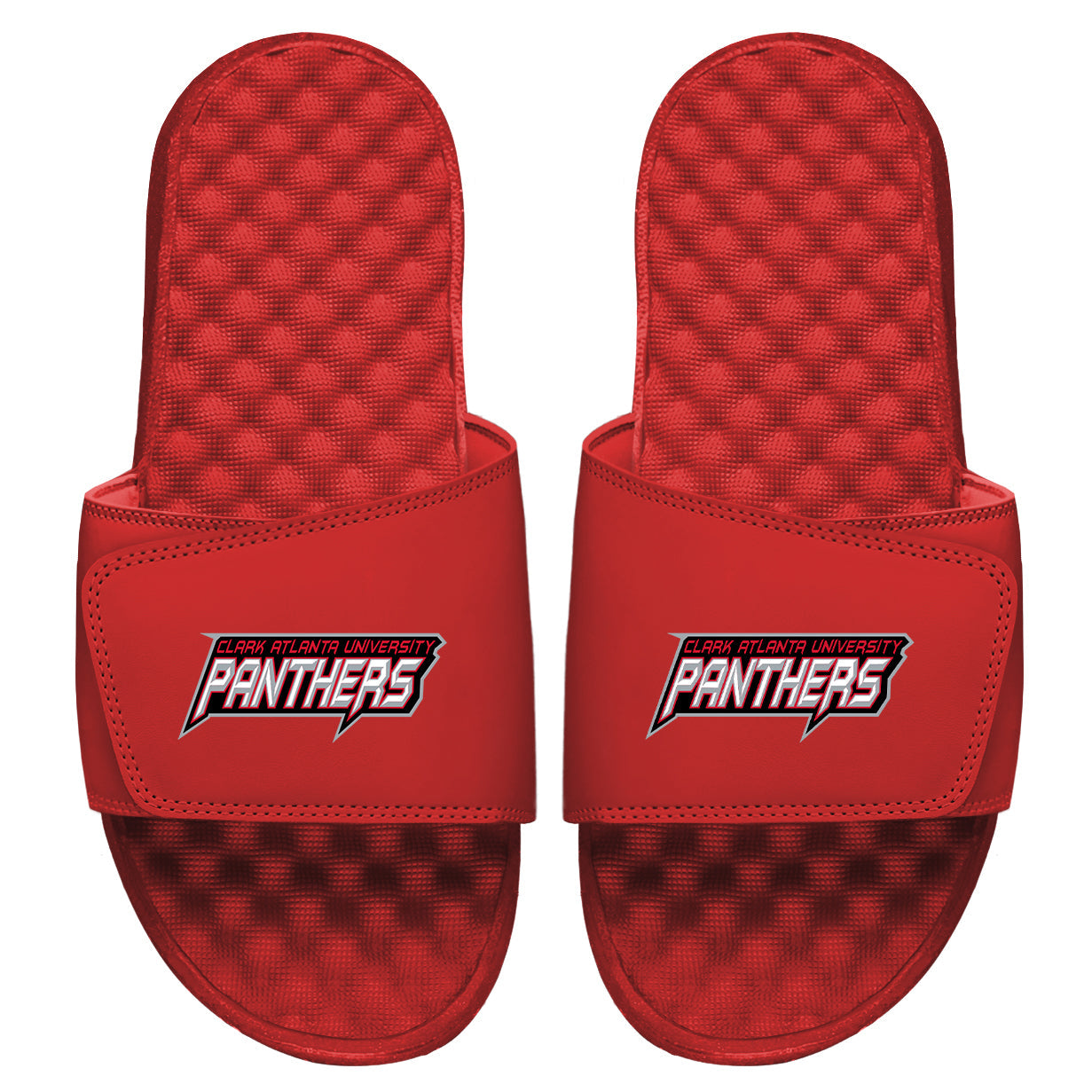 CAU Panthers Wordmark Slides