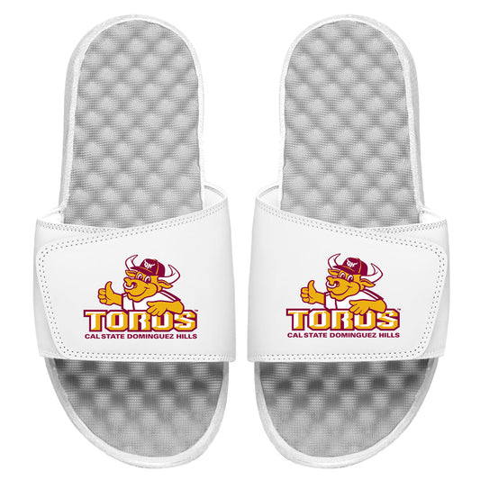Cal State DH Toros Slides