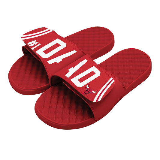Chicago Bulls Dad Slides
