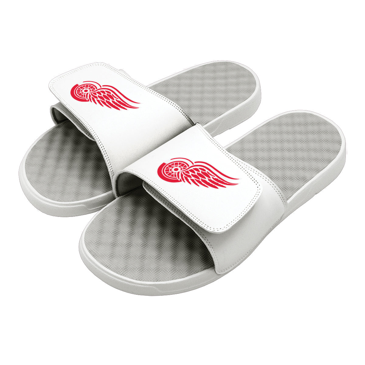 Detroit Red Wings Primary Slides