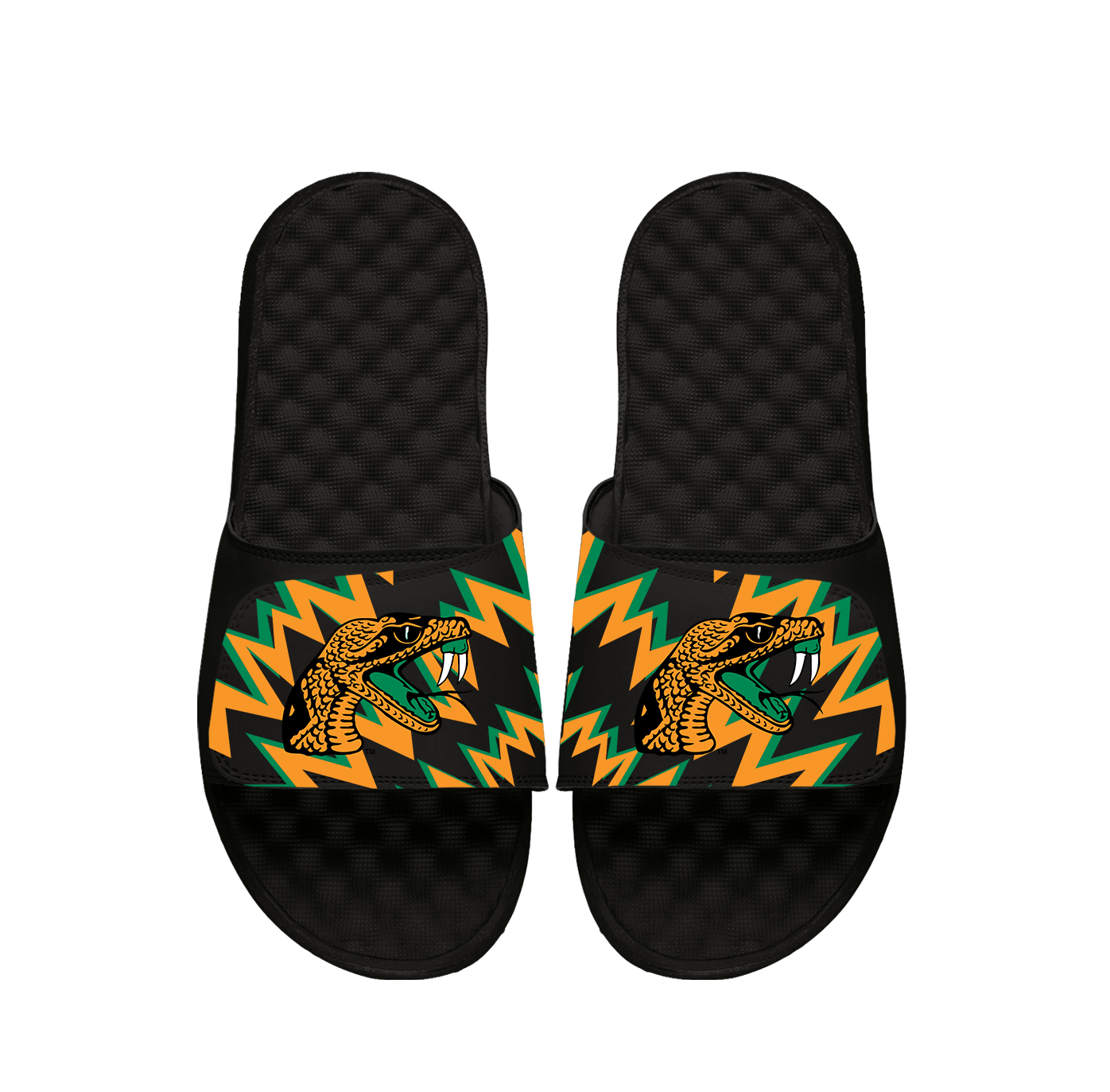 NCAA Florida A&M High Energy Slides