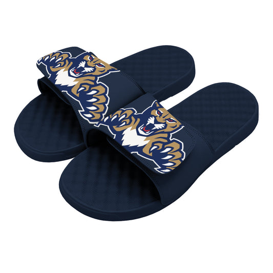 Florida Panthers Blown Up Slides