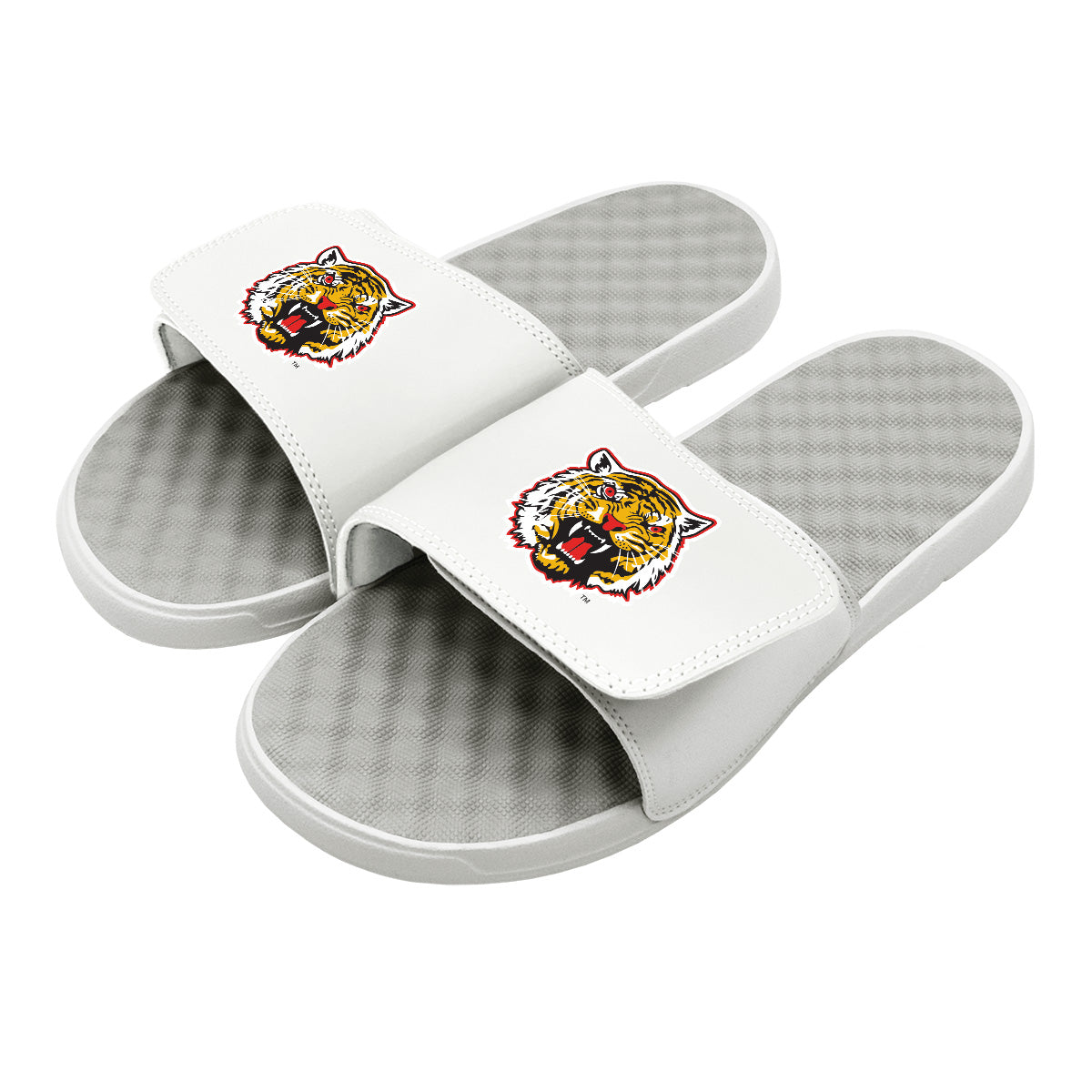 Grambling State Mascot Slides