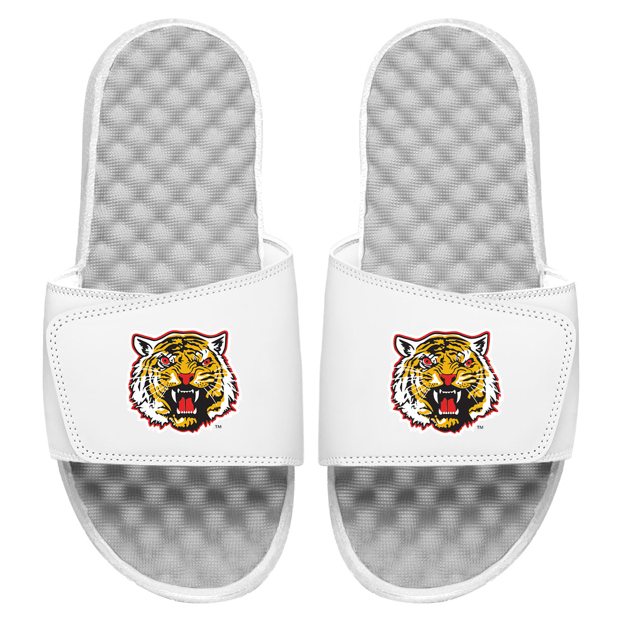 Grambling State Mascot Slides