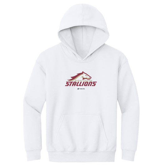 Birmingham Stallions Primary Logo