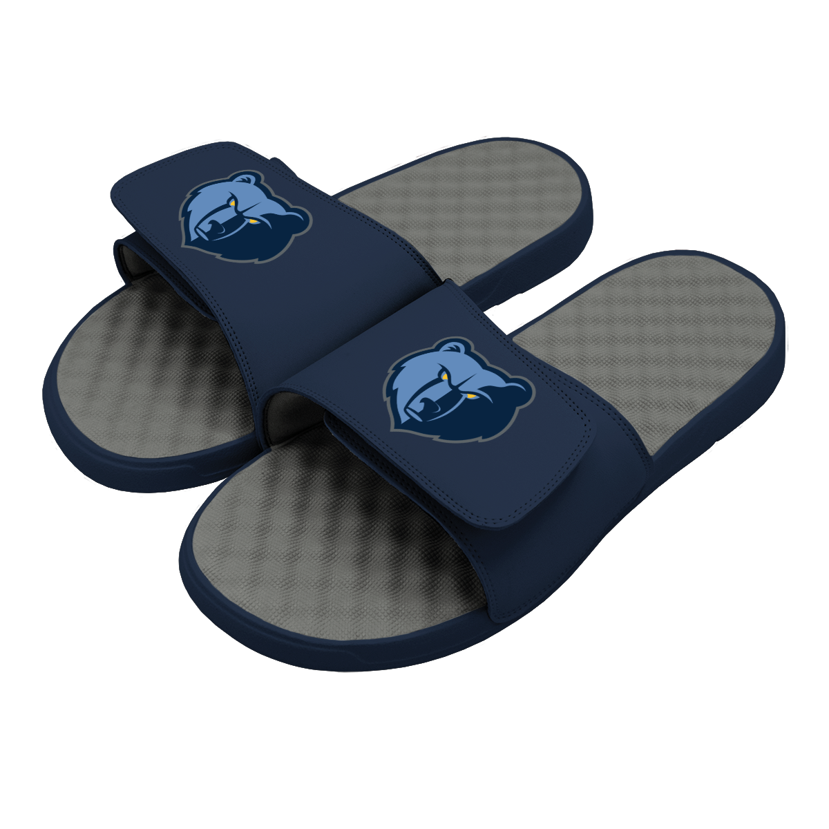 Grizzlies Primary Logo Slides