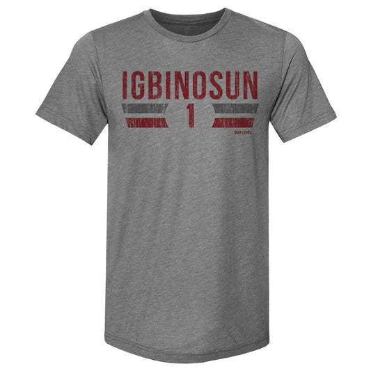 Davison Igbinosun College Font