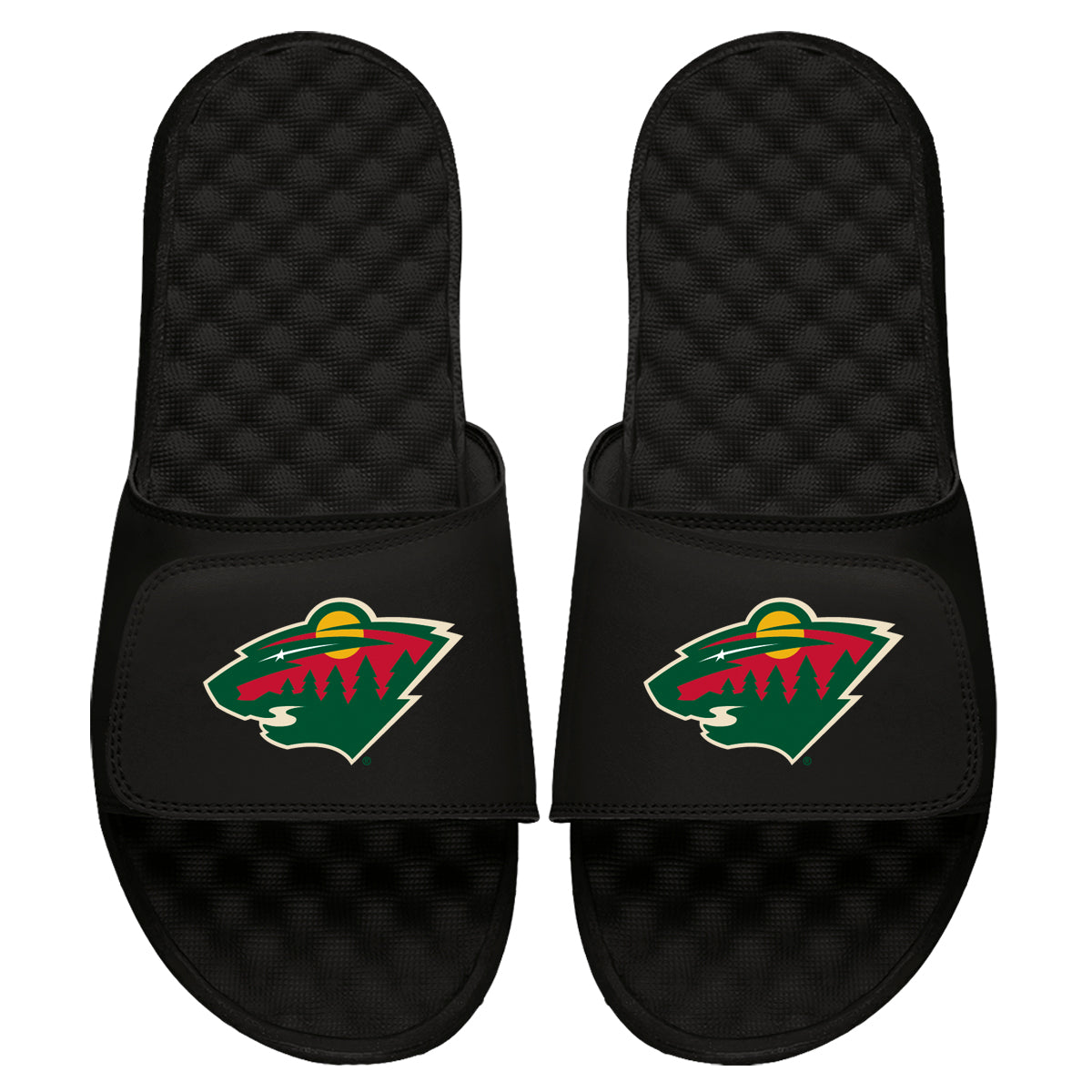 Minnesota Wild Primary Slides