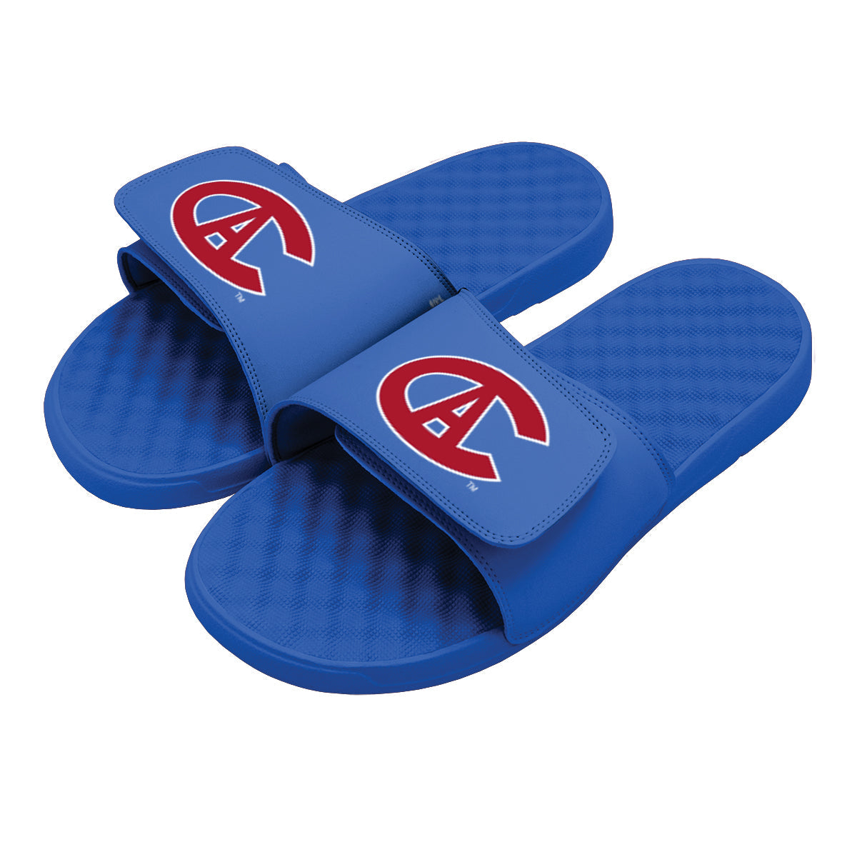 Montreal Canadiens Vintage Logo Slides