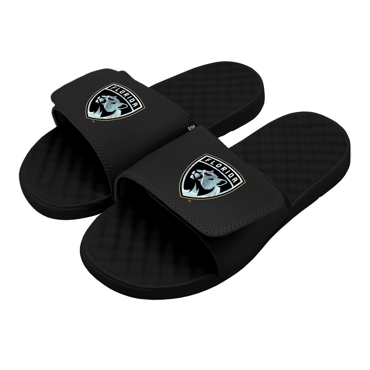 Florida Panthers Ice Mask Slides