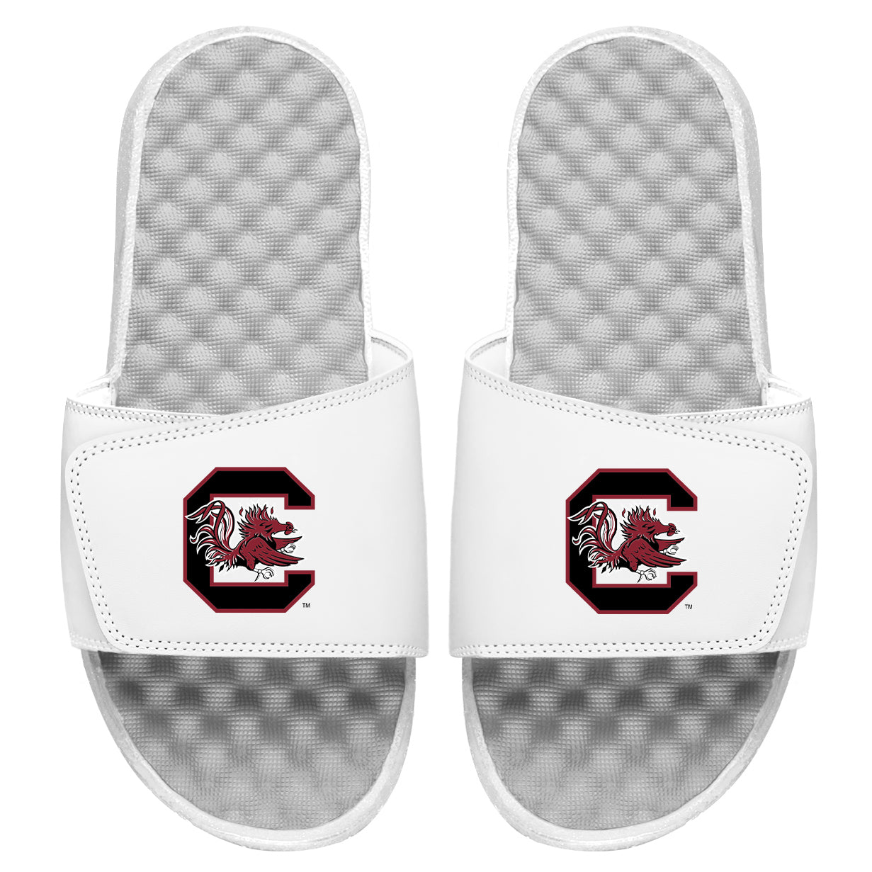 South Carolina Gamecocks Primary Slides