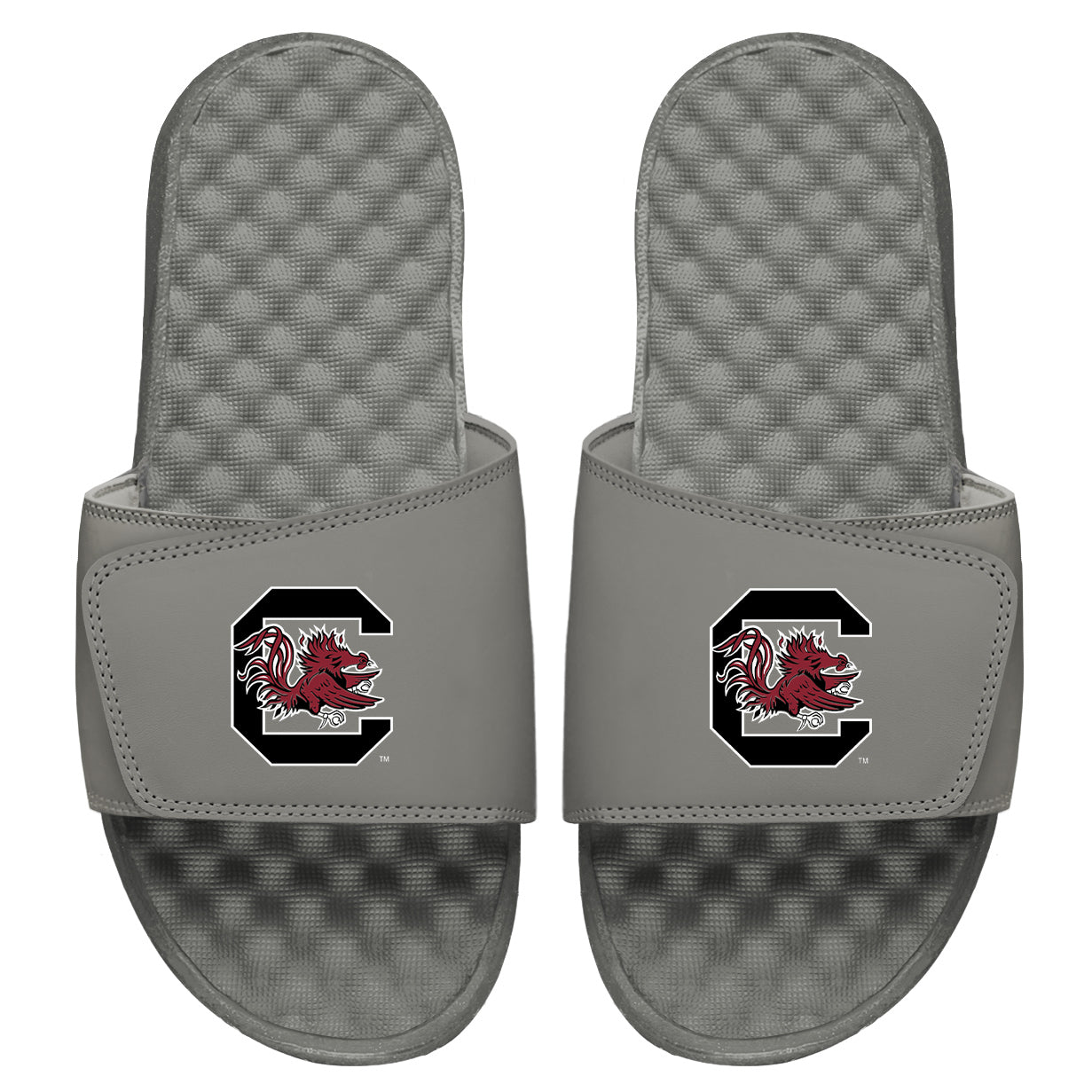 South Carolina Gamecocks Primary Slides