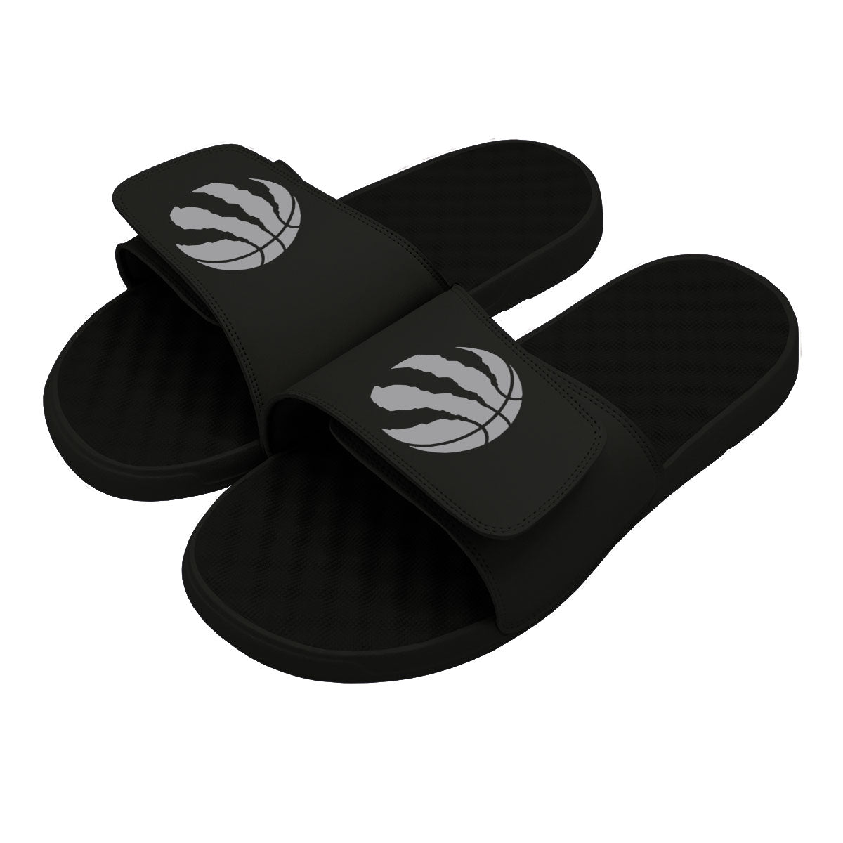 Toronto Raptors Primary Slides