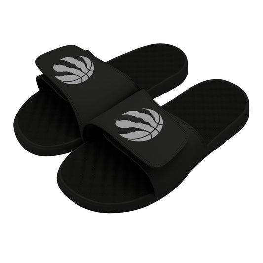 Toronto Raptors Primary Slides