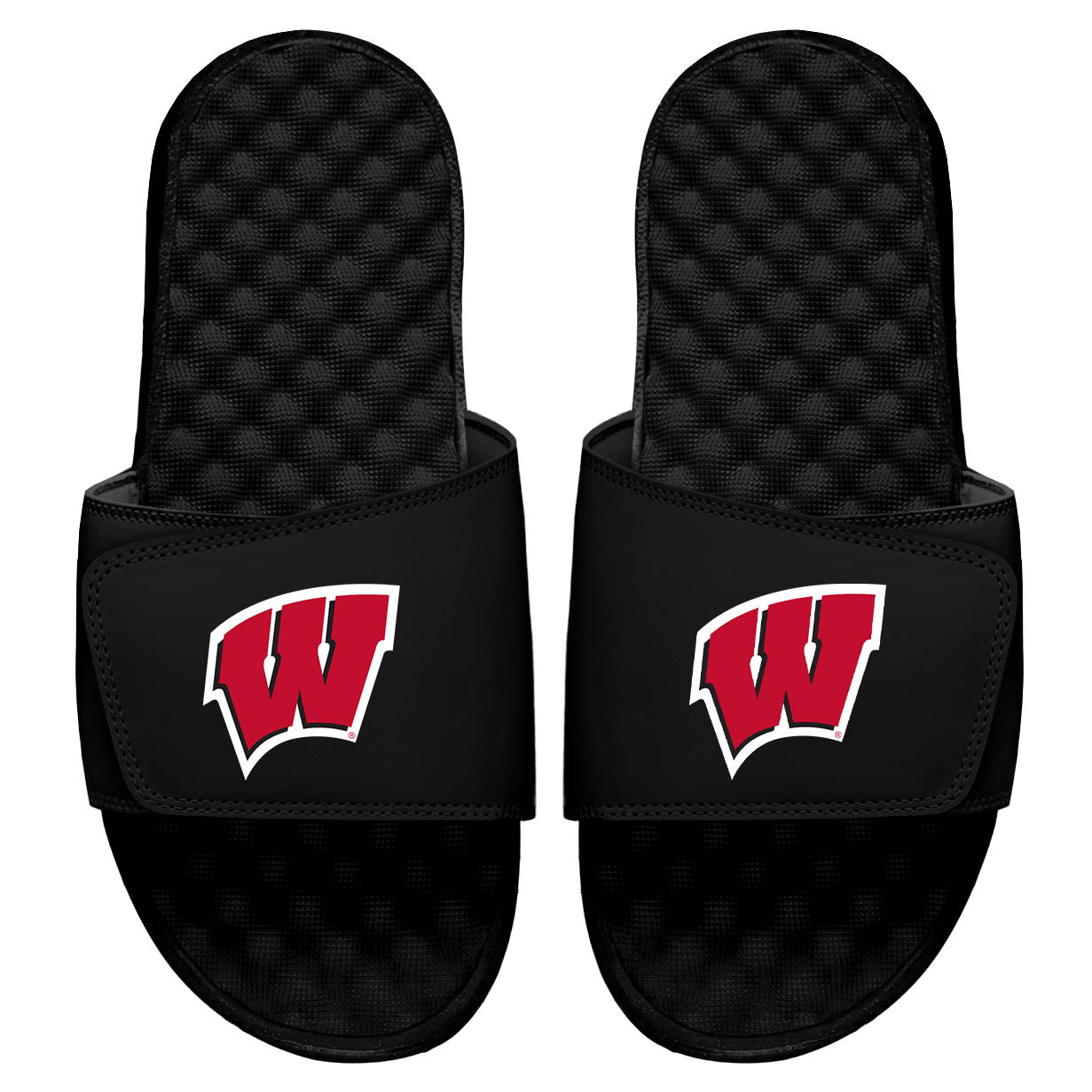 Wisconsin Primary Logo Slides
