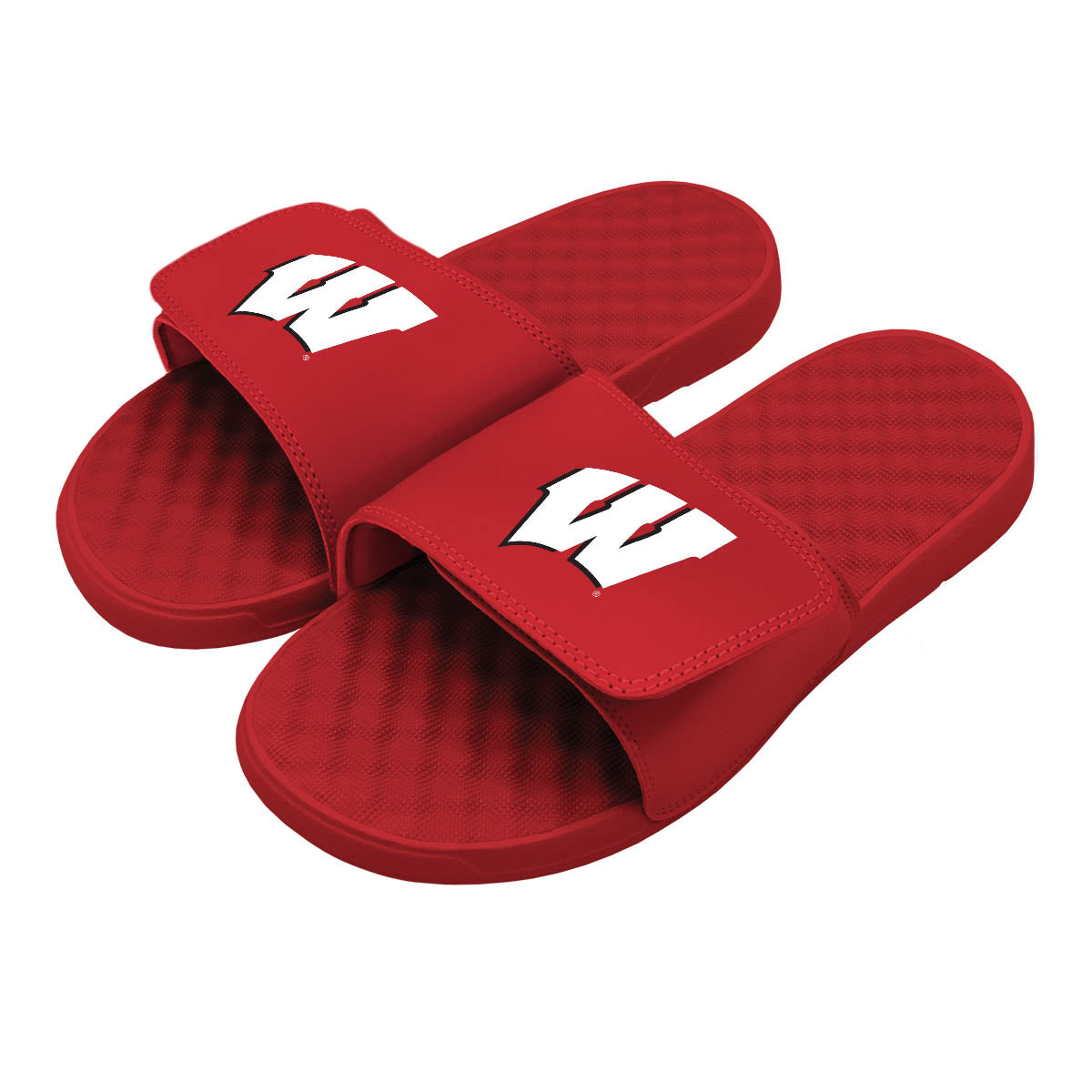 Wisconsin Primary Logo Slides