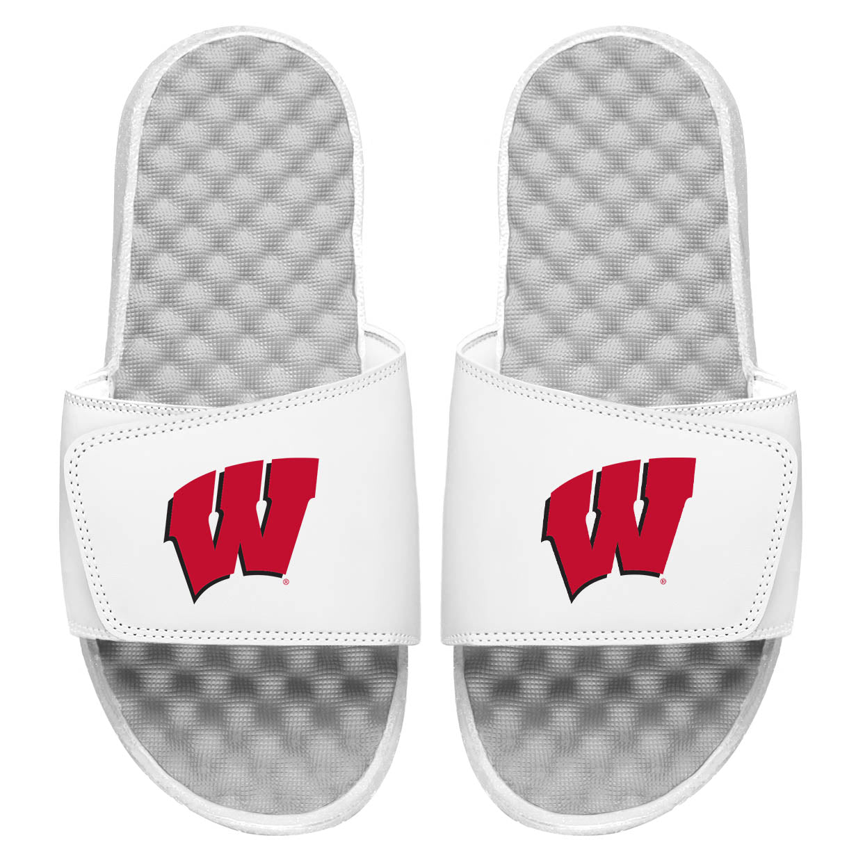 Wisconsin Primary Logo Slides