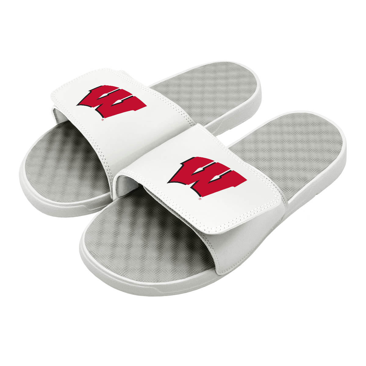 Wisconsin Primary Logo Slides