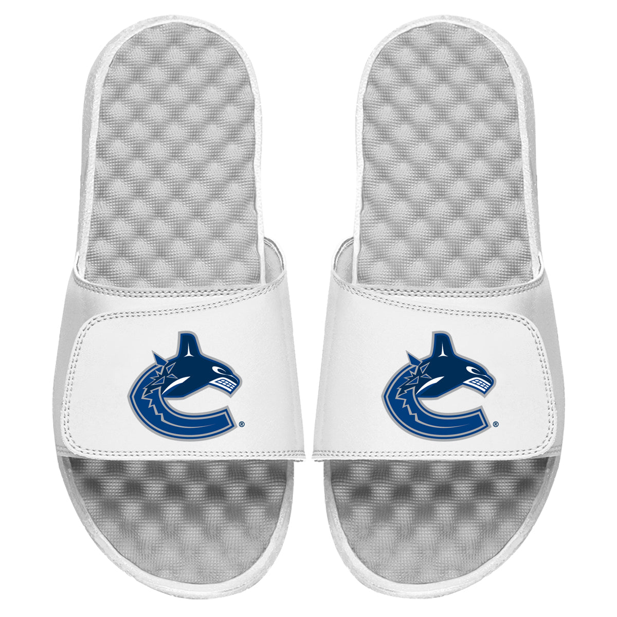 Vancouver Canucks Primary Slides